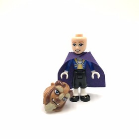 LEGO Beast Prince Adam Small Eyes minifigure Disney Princess 41067 mini doll