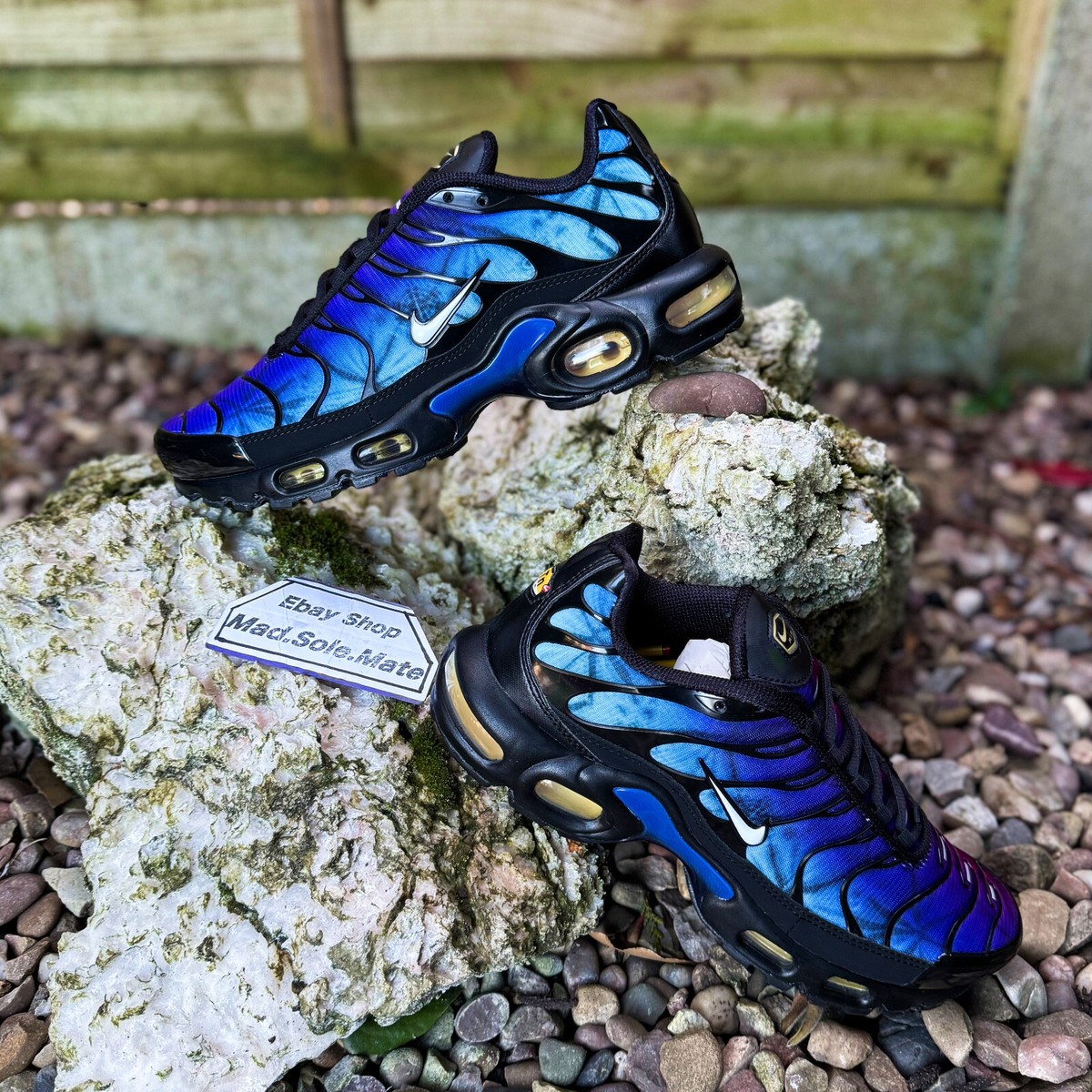 Nike Air Max Plus TN 25th Anniversary FV0393-001 UK5 EUR38