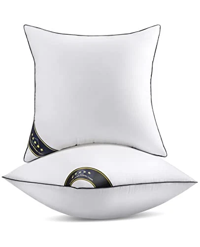 FAPO THROW PILLOW INSERTS SOFA THROW PILLOW WITH 100% COTTON COVER 2-PACK WHITE
