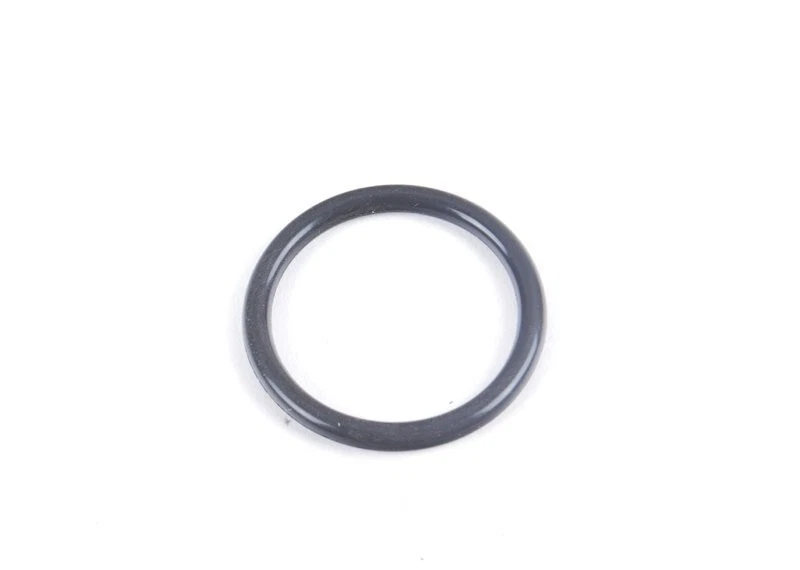 BMW X1 X3 Z4 E46 E60 E81 E82 E83 E84 E85 E87 O-Ring 25x3  