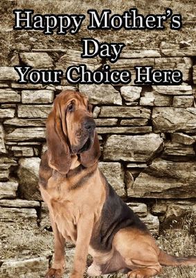 Personalisierte Grußkarte Bloodhound Hund Muttertag PID300 Mama Mama Liebe