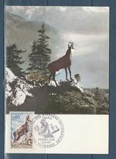 carte  1er jour  nature faune isard des Pyrénées  65 Tarbes  1971