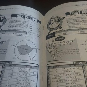 Neo Geo Aes Fire Suplex 3 Count Bout Rom Cartridge Fighting Wrestling Game JP