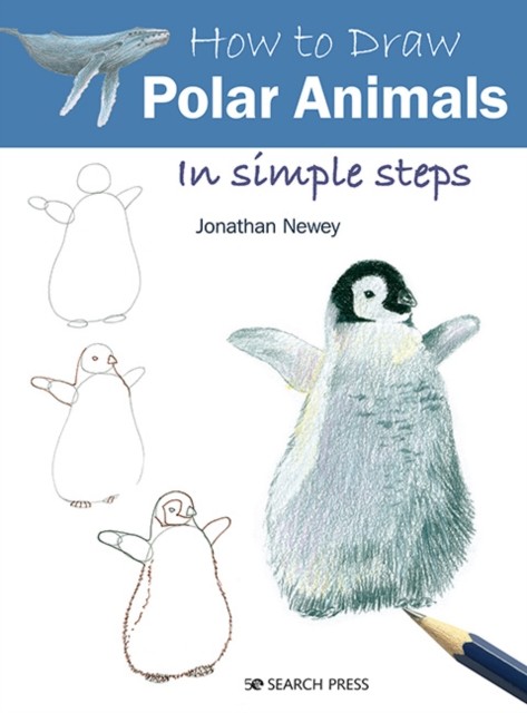 How to Draw: Polar Animals: in simple steps by Jonathan Newey (PB 2020) - Image 5