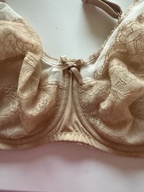 NEW Wacoal Retro Chic Mesh Full Coverage Underwire Bra Toast/Nude Model 855186