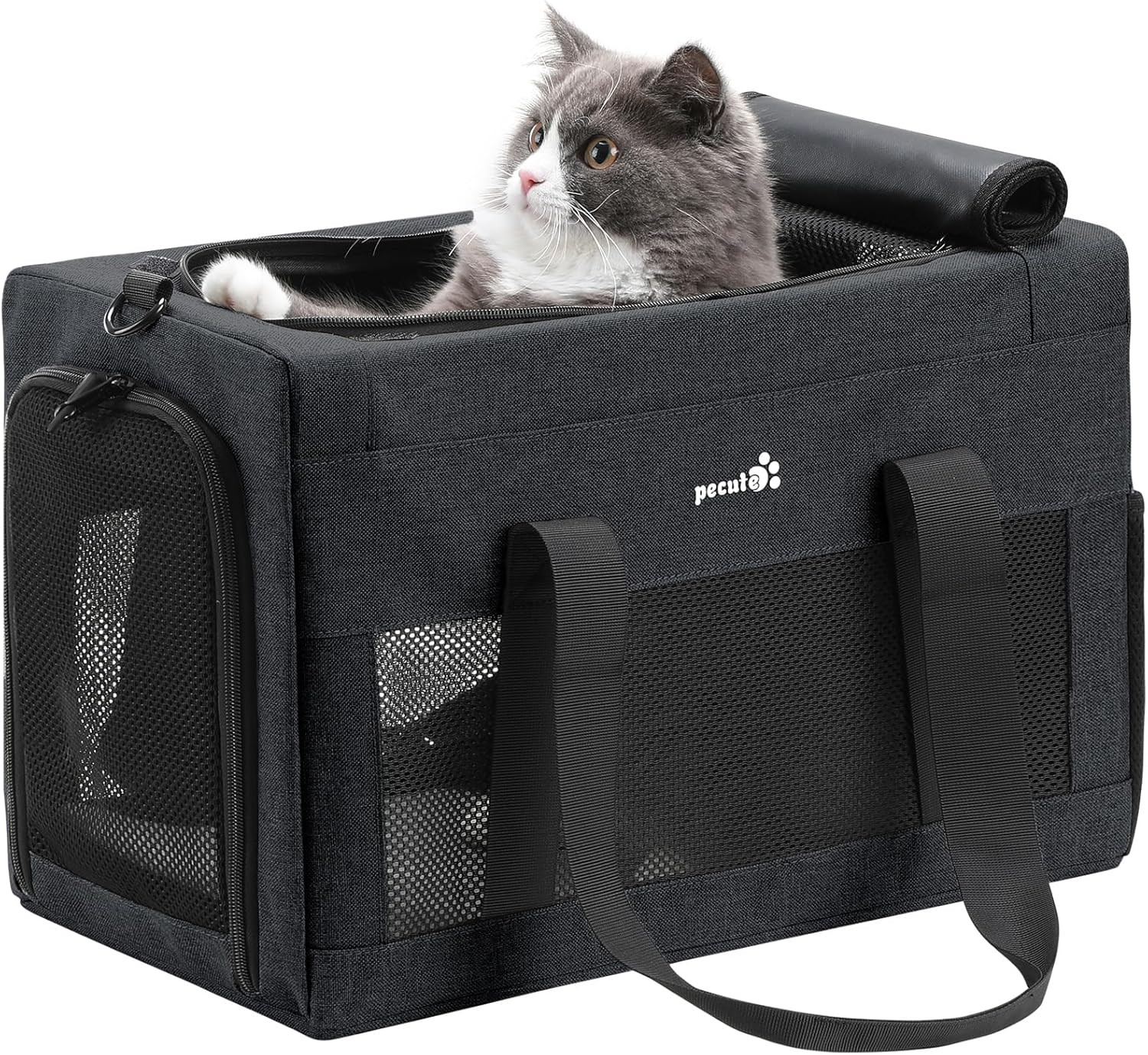Miglior Trasportino Gatto Aereo 2026 - Viaggia in Cabina senza Pensieri