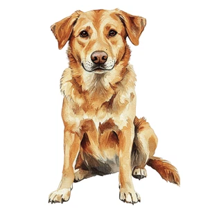 Farm Animals Dog Self Adhesive Vinyl Sticker