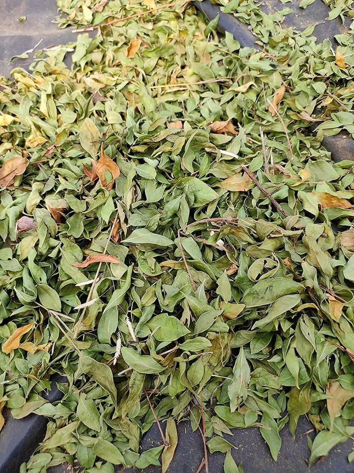 Hojas de gallina entera Heena Mehendi Mehndi tatuaje orgánico 50 gm-1000 gm ENVÍO GRATUITO Foto 3 de 4