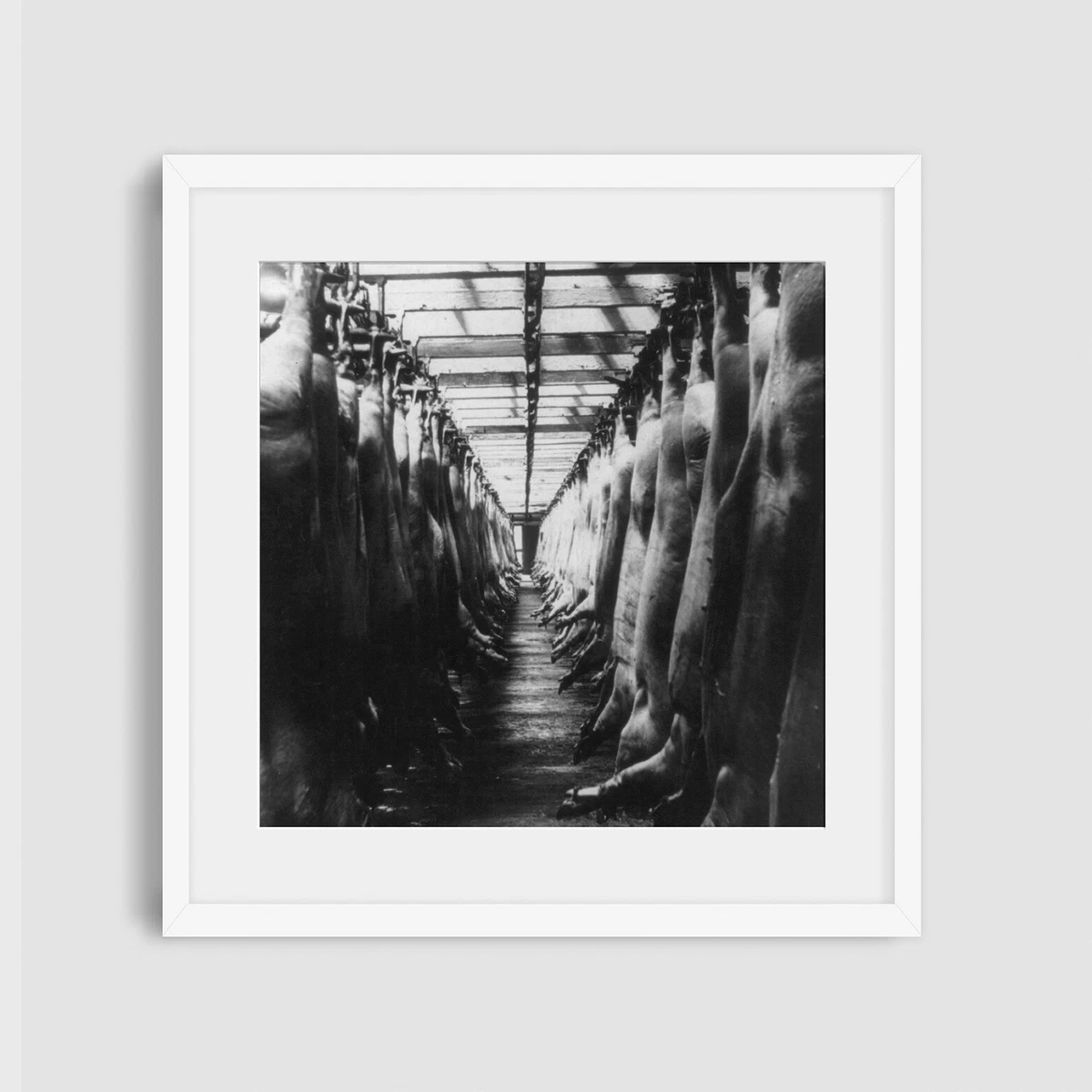 Packing House Chicago