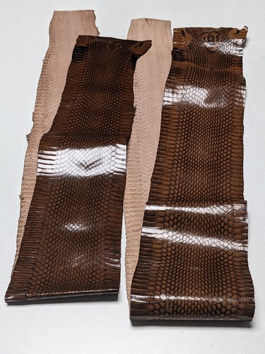 Asia Cobra Snake Skin w/ Hood Mark Snakeskin Hide Leather Brown - Picture 8 of 9