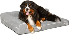 PetFusion BetterLounge Dog Pet Bed Solid Orthopedic Memory Foam, Waterproof line