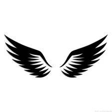 Wings - Decal Sticker - Multiple Colors & Sizes - ebn6661