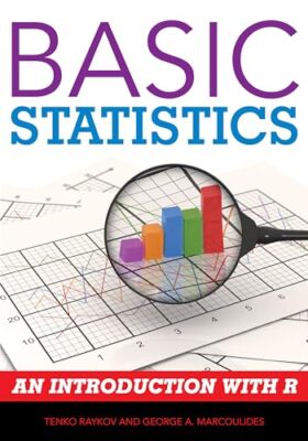 Raykov - Basic Statistics   An Introduction with R - paperback or soft - X555z
