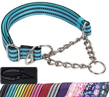 Reflective Martingale Collar for Dogs with Steel Chain, L Neck15"-22" , B