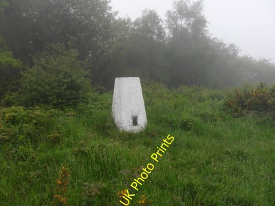 Photo 12x8 Pontop Pike Triangulation Pillar Stony Heap  c2016