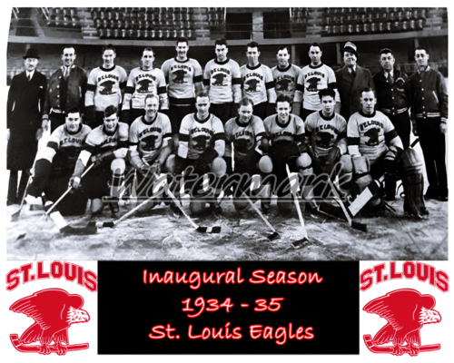 LNH 1934 - 35 photo de l'équipe des Eagles de St. Louis SEULEMENT SAISON 8 X 10 photo - Photo 1/1