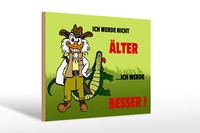 Holzschild Spruch 30X20Cm Werde Nicht äLter Werde Besser Deko Schild Wooden Sign