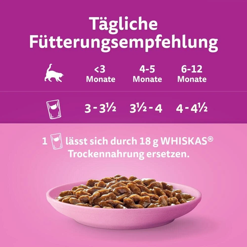 Bild 4 von 12