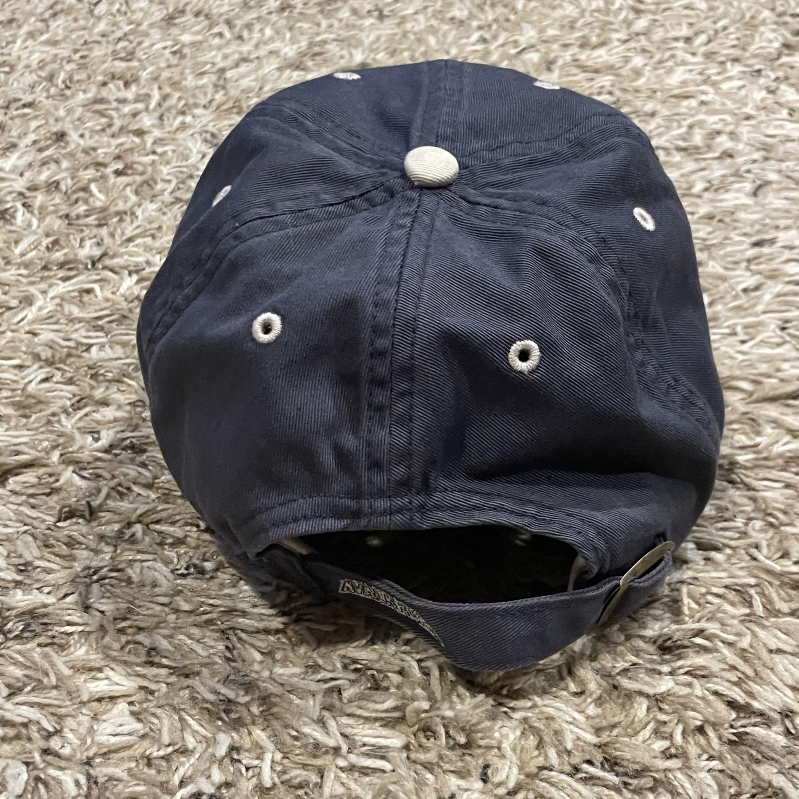 Vintage Colorado Avalanche Hat Twin Enterprise Strap Back Blue White NHL Dad Hat