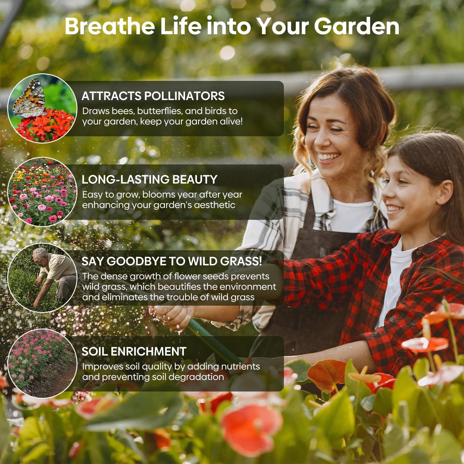 Groundio All Perennial Wildflower Seeds Bulk, 1/4 lb, 100,000+ Seeds, 26 Variety