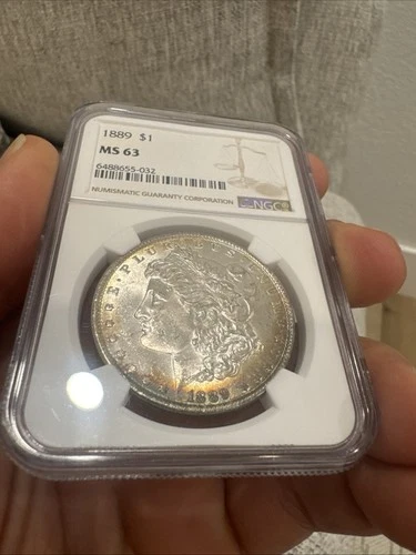 1889-P Morgan Silver Dollar $1 NGC MS63 Toned Toner Great Eye Appeal