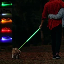 4FT Rechargeable Light-up Glow Leash Dog Pet Night Safety Flash Lead USB 2025