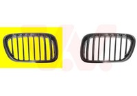KüHlergrill KüHlergitter Titan Passend FüR BMW X5 E53