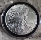 2020 American Silver Eagle Uncirculated 1oz .999 Fine Silver (D-12)