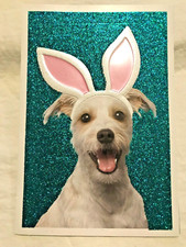 Hallmark Easter Greeting Card Yappy Easter!  ...