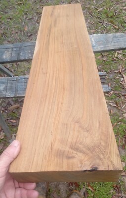36'' LONG Plank 40+ Annual Rings/Inch VERY Tight Grain REAL Sinker Cypress Wood