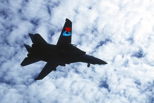 Photo US Navy Grumman F-14A Tomcat VF-154 Black Knights NF106 USN BuNo 161291 - Picture 4 of 9