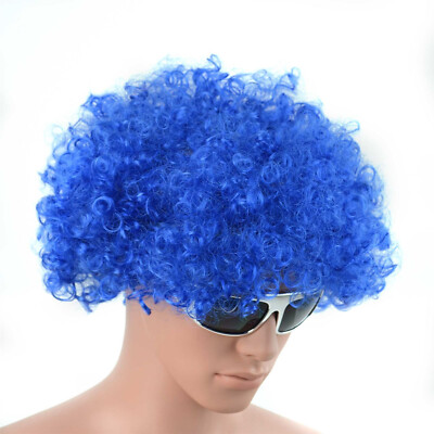 UNISEX KOSTÜM ANHÄNGER PARTY BLAU CLOWN 70er AFRO SYNTHETIK PERÜCKE