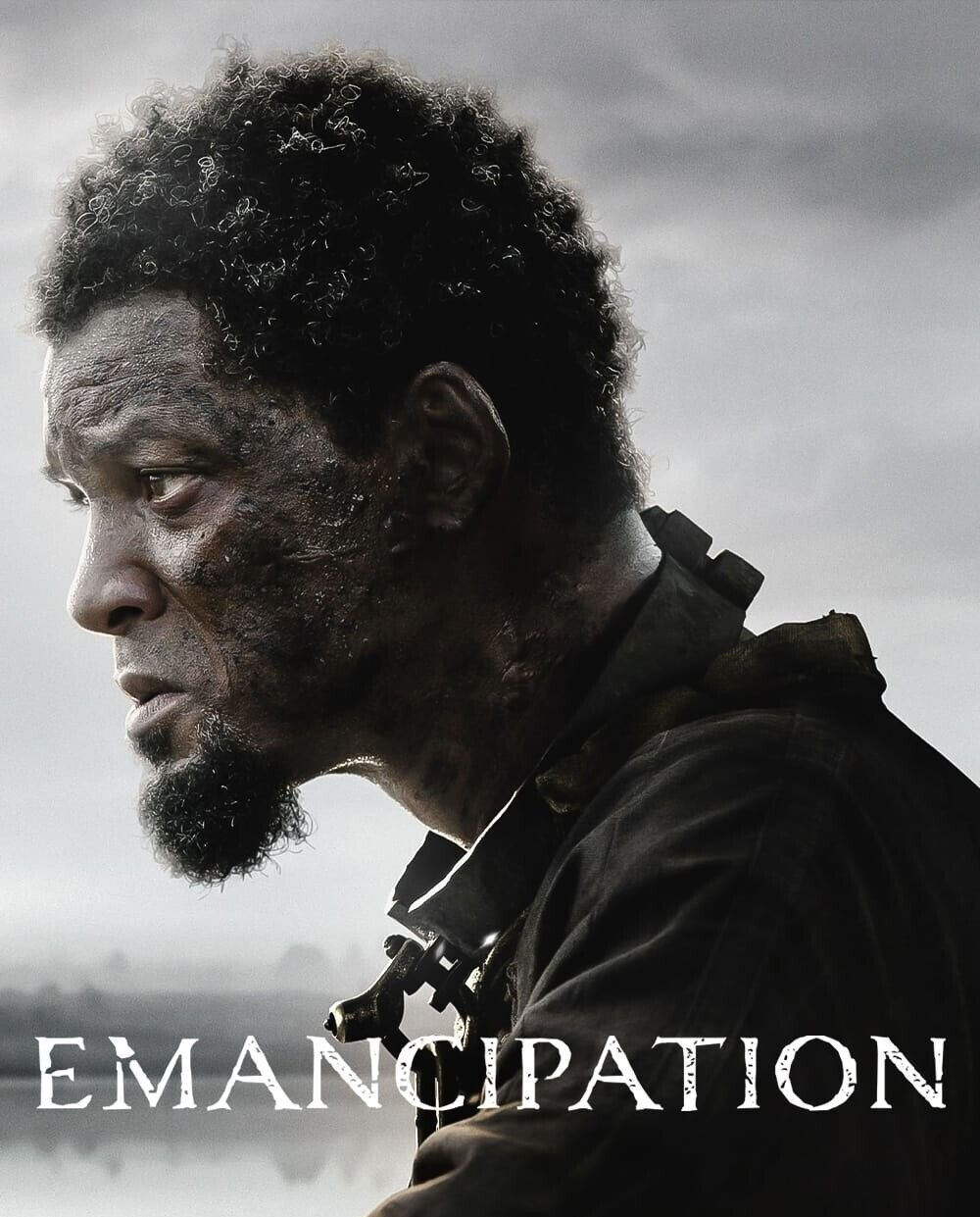 Emancipation 2022 With Slip Cover(Free Shipping)