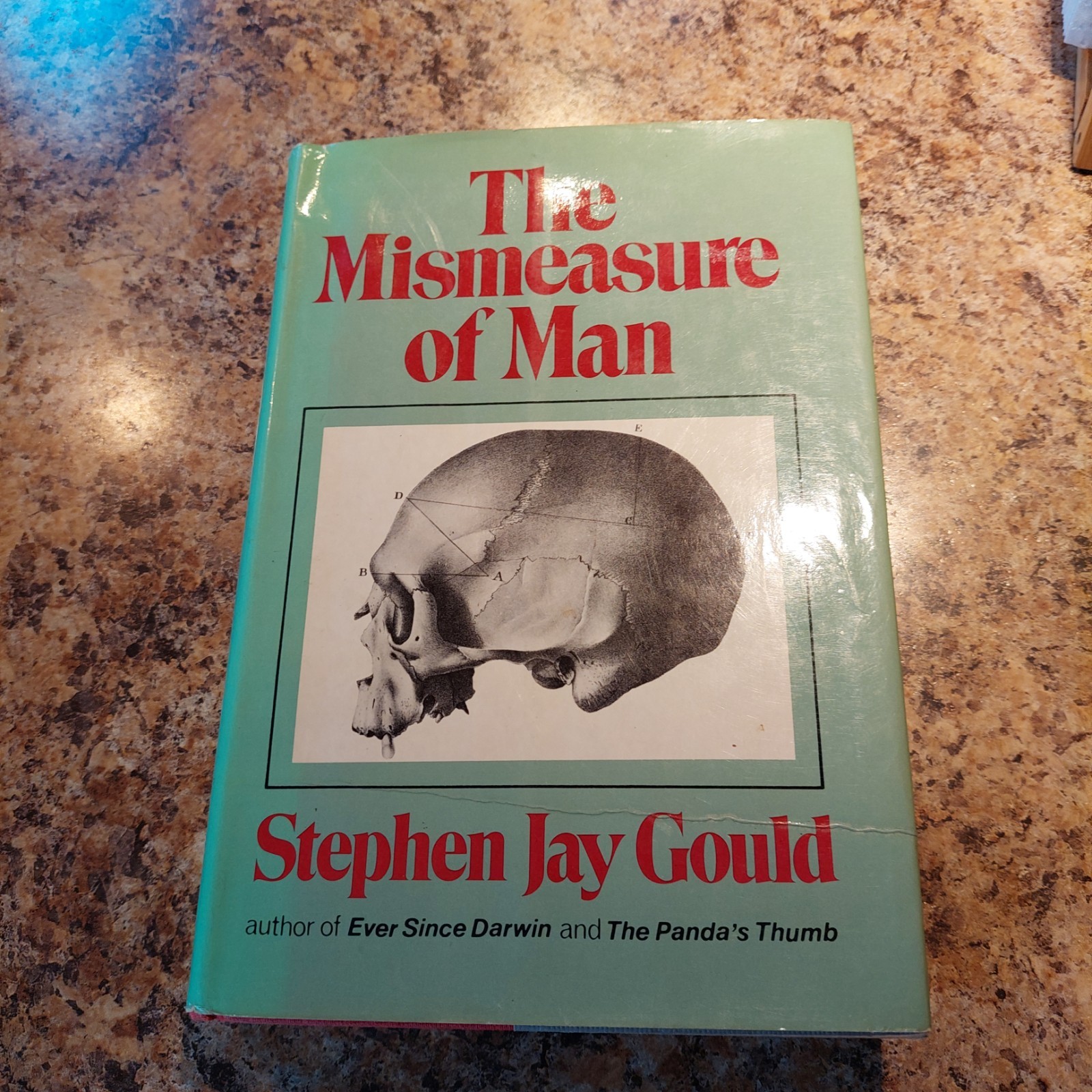The Mismeasure of Man by Stephen Jay Gould 1981 1st Ed. W. W. Norton & Co. HCDJ