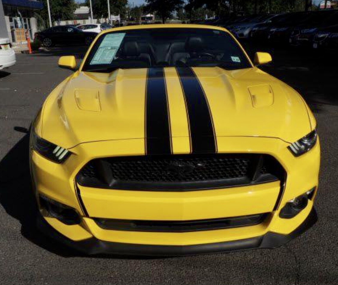 7" Racing Rally Stripe Stripes Graphics fit Ford Mustang GT 5.0 Cobra Saleen