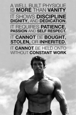 Arnold Schwarzenegger Bodybuilding Motivational Favorite Quotes - POSTER 20"x30"