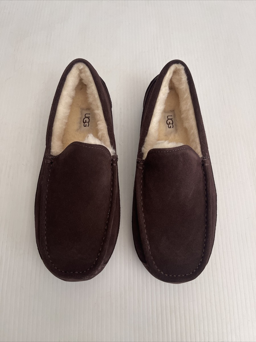 NEW UGG Men display picture 2