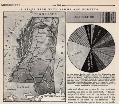 MISSISSIPPI AGRICULTURE MAP - Cotton, Timber & Crops 1948 Vintage Print