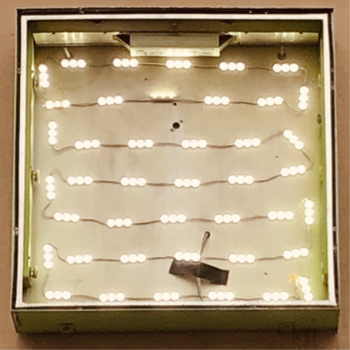 Oso Oso Basking in the Glow (Vinyl LP) 12" Album