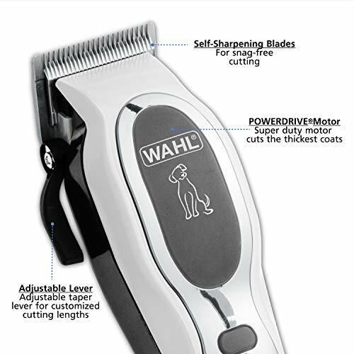 wahl clippers for cats