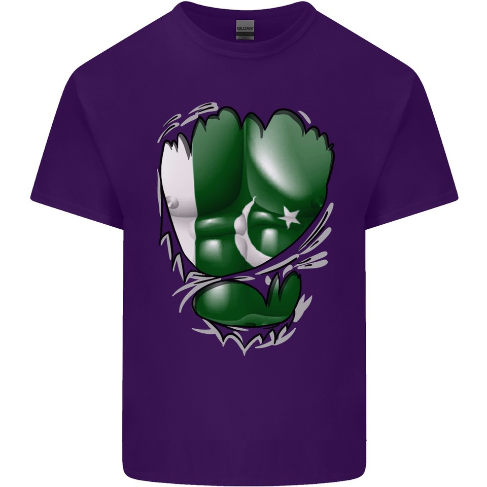 Gym The Pakistan Flag Ripped Muscles Effect Mens Light Cotton T-Shirt ...