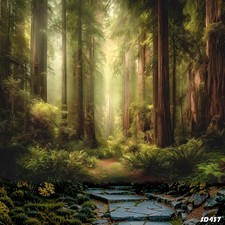 10'x10'CP Trees Forest Path Scenic Microfiber Fabric background backdrop SD437