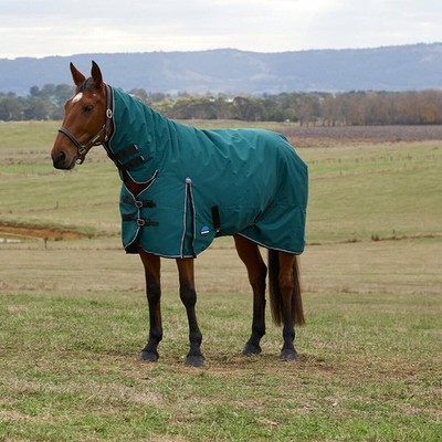 Weatherbeeta Comfitec Classic Turnout Combo 220g