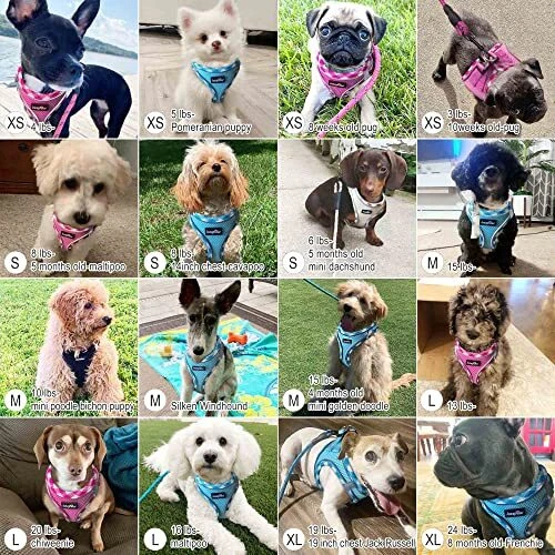 Dog Harness with Leash Set, No S (Chest 12.5''-14.7'', Weight 7-11 lb) Beige