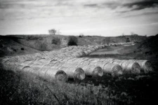 Fine Art Photography, Black and White print, 8x12, Near Trenton, Nebraska