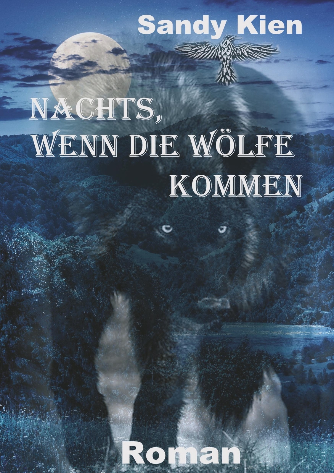 Thumbnail - Nachts, Wenn Die Wölfe Kommen | Sandy Kien | Taschenbuch | Paperback |