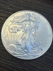 $1 American Silver Eagle 1 oz Brilliant Uncirculated - 2009 - Sigma Verified