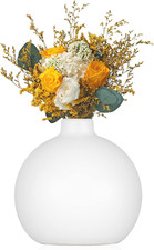 Ceramic Vase Small White Vase- Flower Vases for Home Decor, Dry Flower Vases for