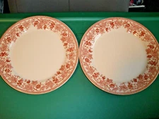 Claytan Tableware Vineyard Pink Collection 2 Dinner Plates 10.5" Grapes Vines