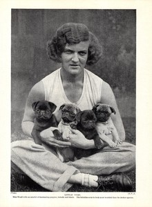 1930s Vintage Pug Dog Print Miss Weall and Armful of Pug Puppies  6521p